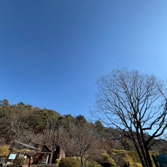 帰ってきました
いつもの駐車場
里は暖かい日でした