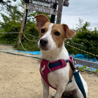 もんちゃんとコタとレティ