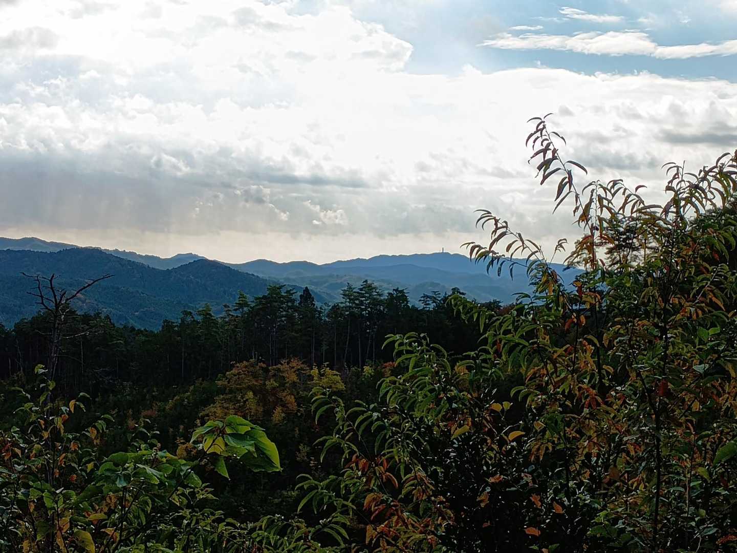 鍋足山 往復コースの写真