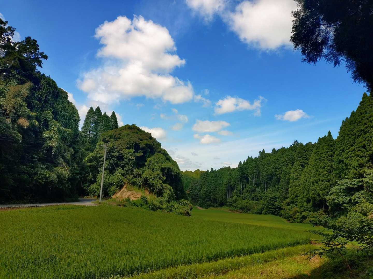 気温は27度ほど。
お昼に歩きましたが、暑さまだセーフでした！