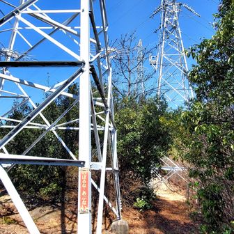 　　　(´д｀)　上がった～
                        ３連塔