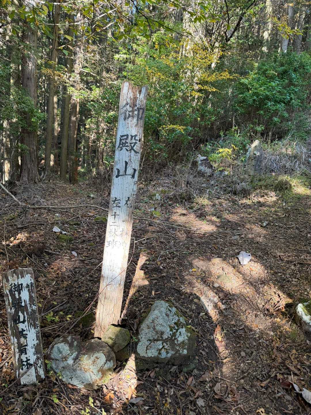 御殿山 往復コースの写真
