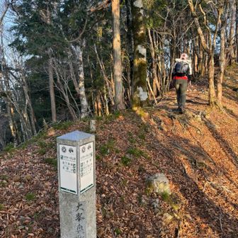 ひさしぶりに見る 大峯奥駈道の石柱👍