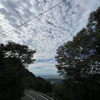 久しぶりよ宇治道