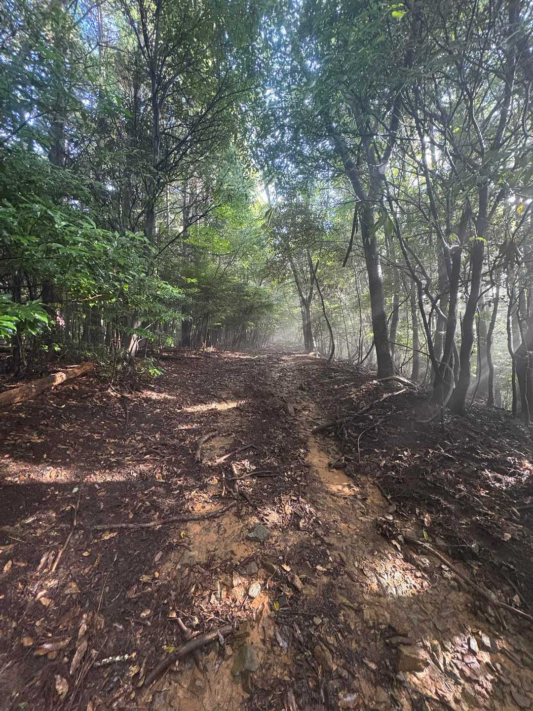山頂手前