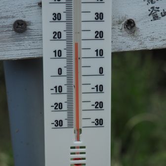 先日設置した気温計