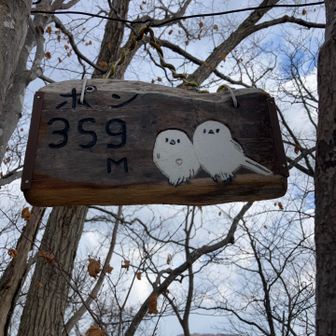 着いたよーーポンちゃん😊
可愛い🩷素敵な標識だねーー