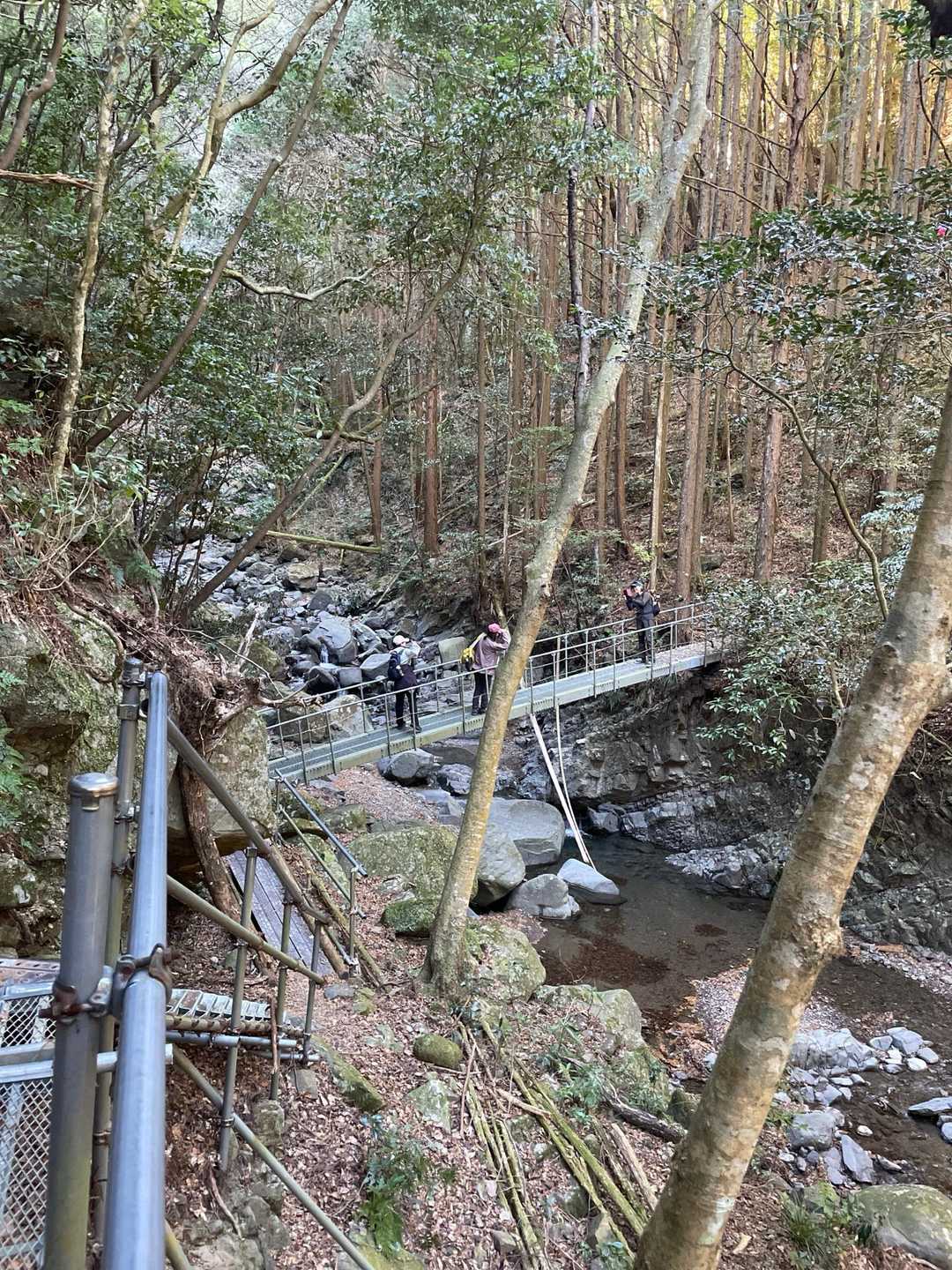 ごっつい整備された橋あります🌉