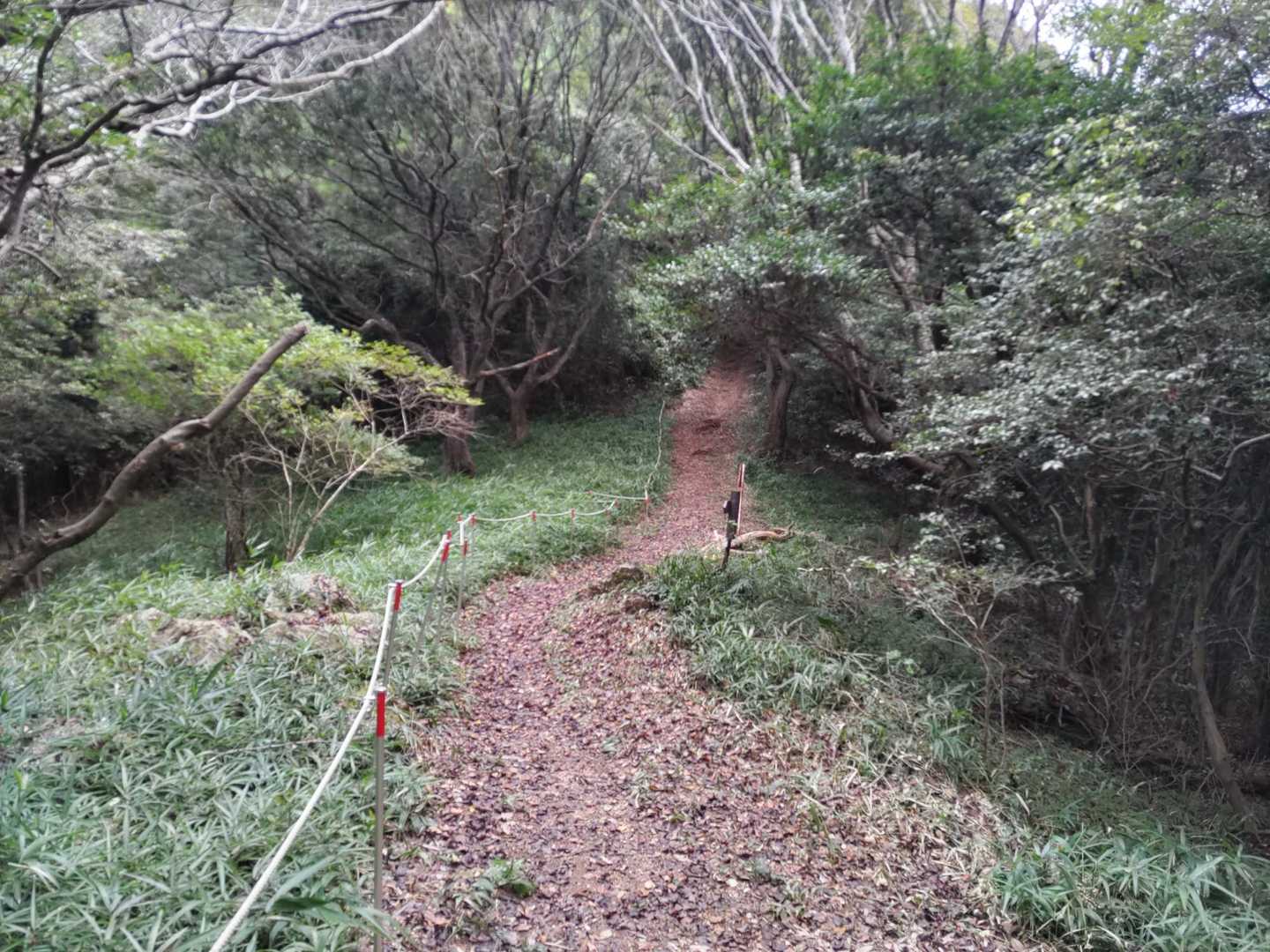 風越峠。真っすぐ進むのが本線で、すぐ急坂登りとなる。いつもは右に進み巻き道で体力温存。