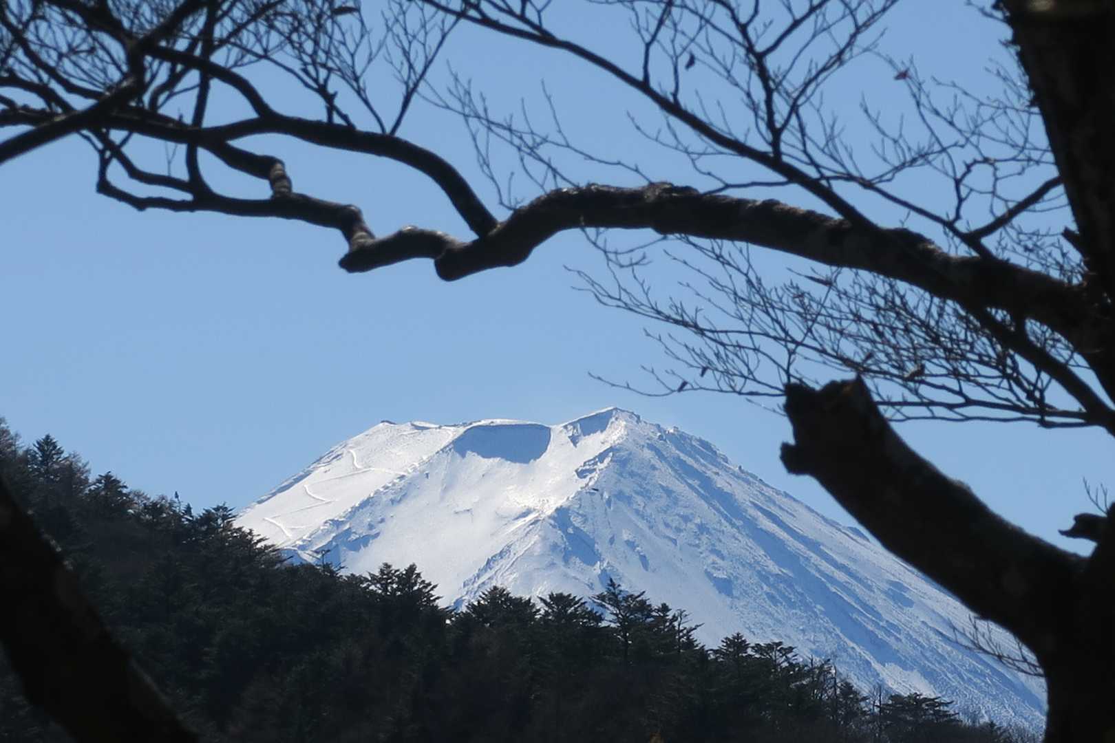 御巣鷹山の手前で一度隠れます