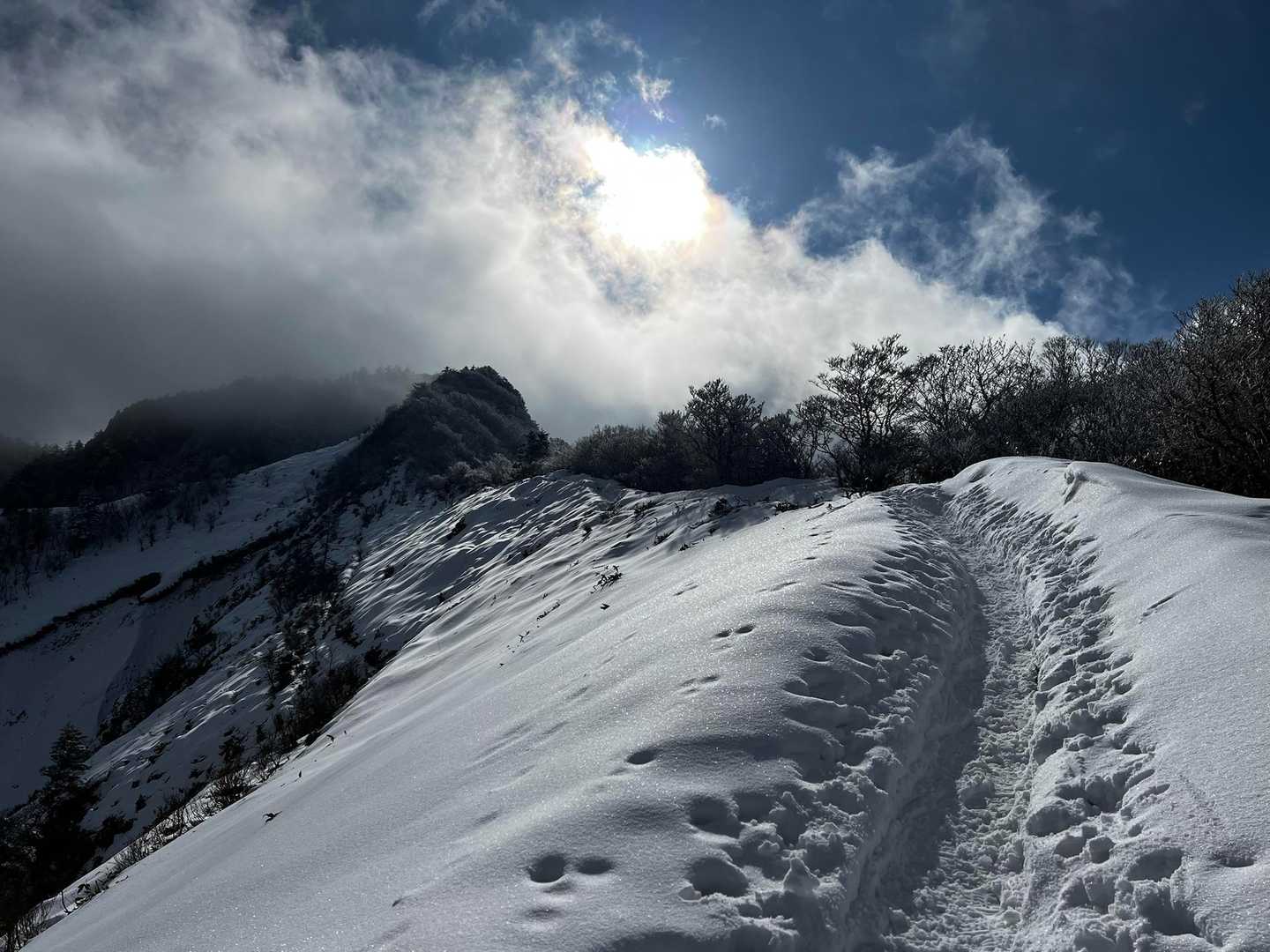 旧寒風山トンネル南口-伊予富士 往復コースの写真