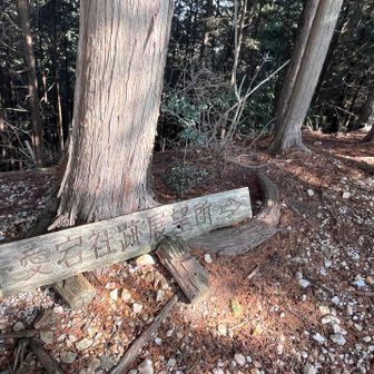 愛宕社跡展望所が目に入ったので寄ってみることに。
町並みも伺えて小休憩に良さそう😊