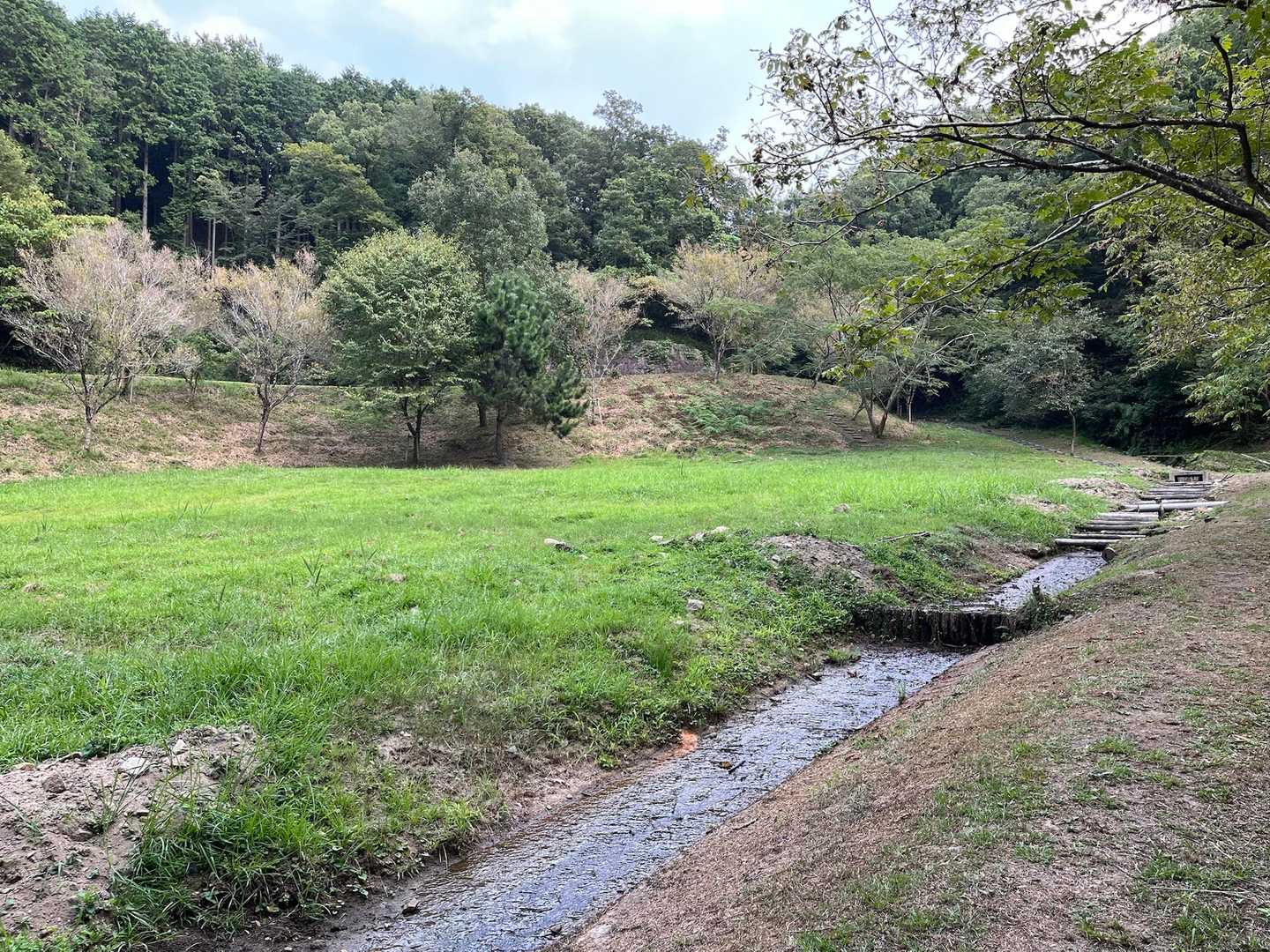 麓におりてきました里山〜ですね！😊
