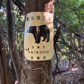 かかって来い！