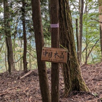 字が綺麗な人が作った道標