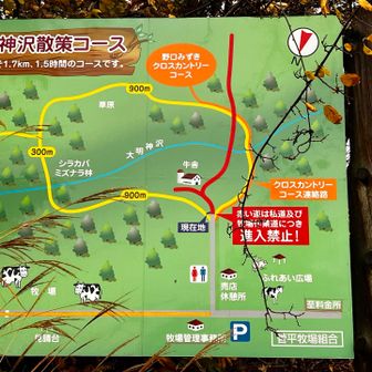 散策コースもありました