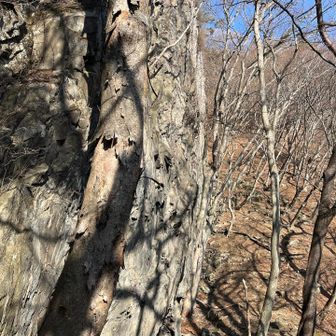 マップには大黒岩となっていましたが、巻いていけます。