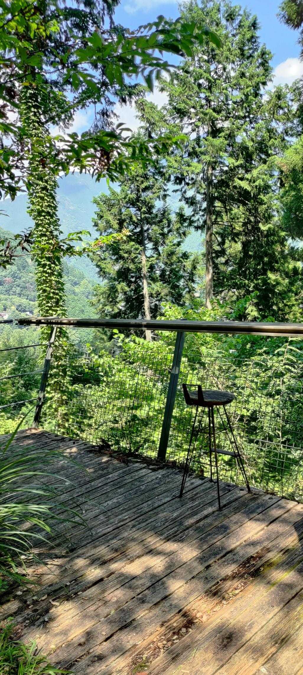 登計橋-登計トレイル-愛宕山 周回コースの写真