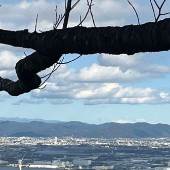 わかりづらいけど、富士山見えています。