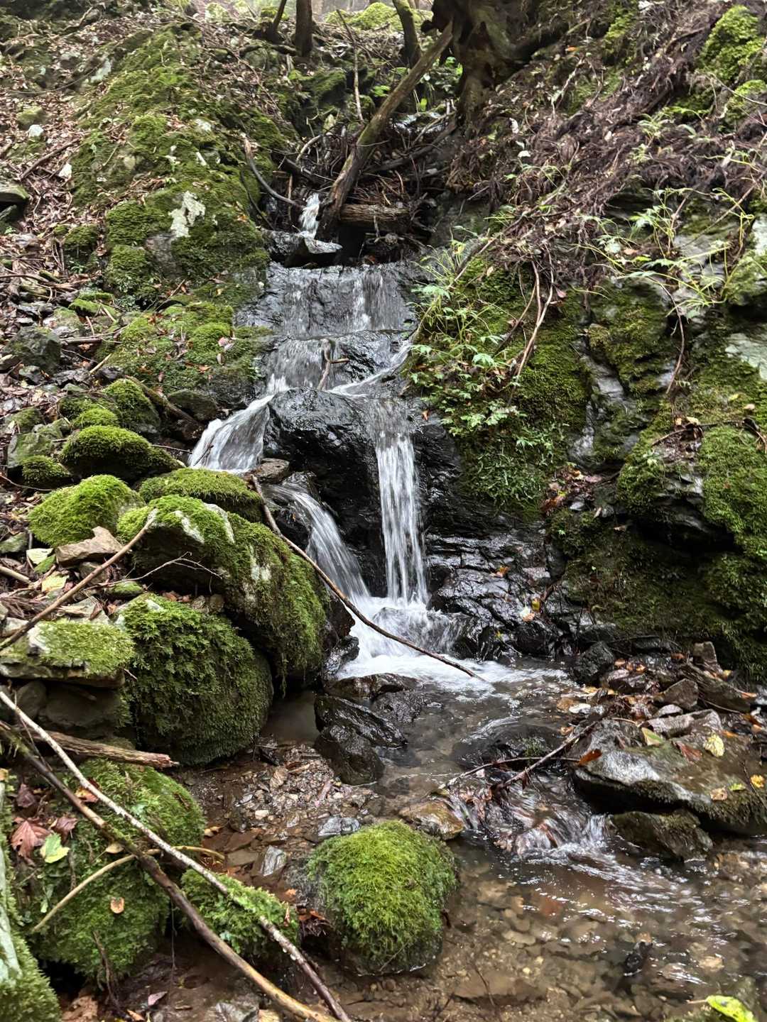 平バス停-平登山口-皆子山 周回コースの写真