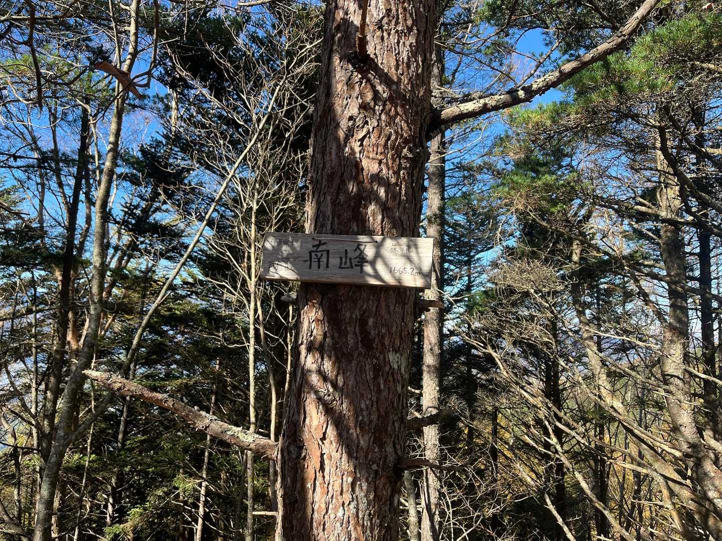 南峰　山名板のみ、眺望無し