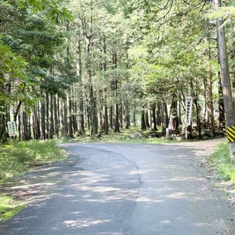 右が尾高観音参道入り口。