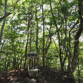 途中から一緒の方と楽しく話しながら歩く。頭痛とゆらゆら画像見えたらすぐに座ります。お年頃だけら気をつけなければ。。。