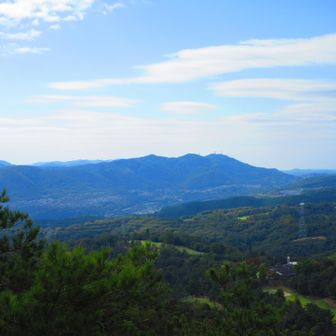 展望台より