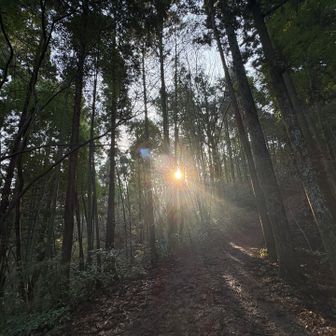 光に癒されます♪