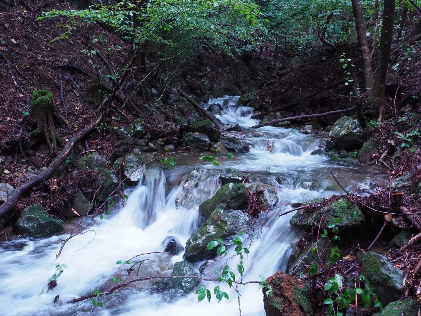 登山口近くの沢で水の流れを撮るﾍ(ﾟ∀ﾟﾍ)
