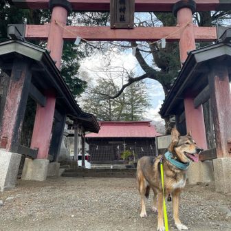 無事下山✨
お礼参りをして、お疲れ山⛰️