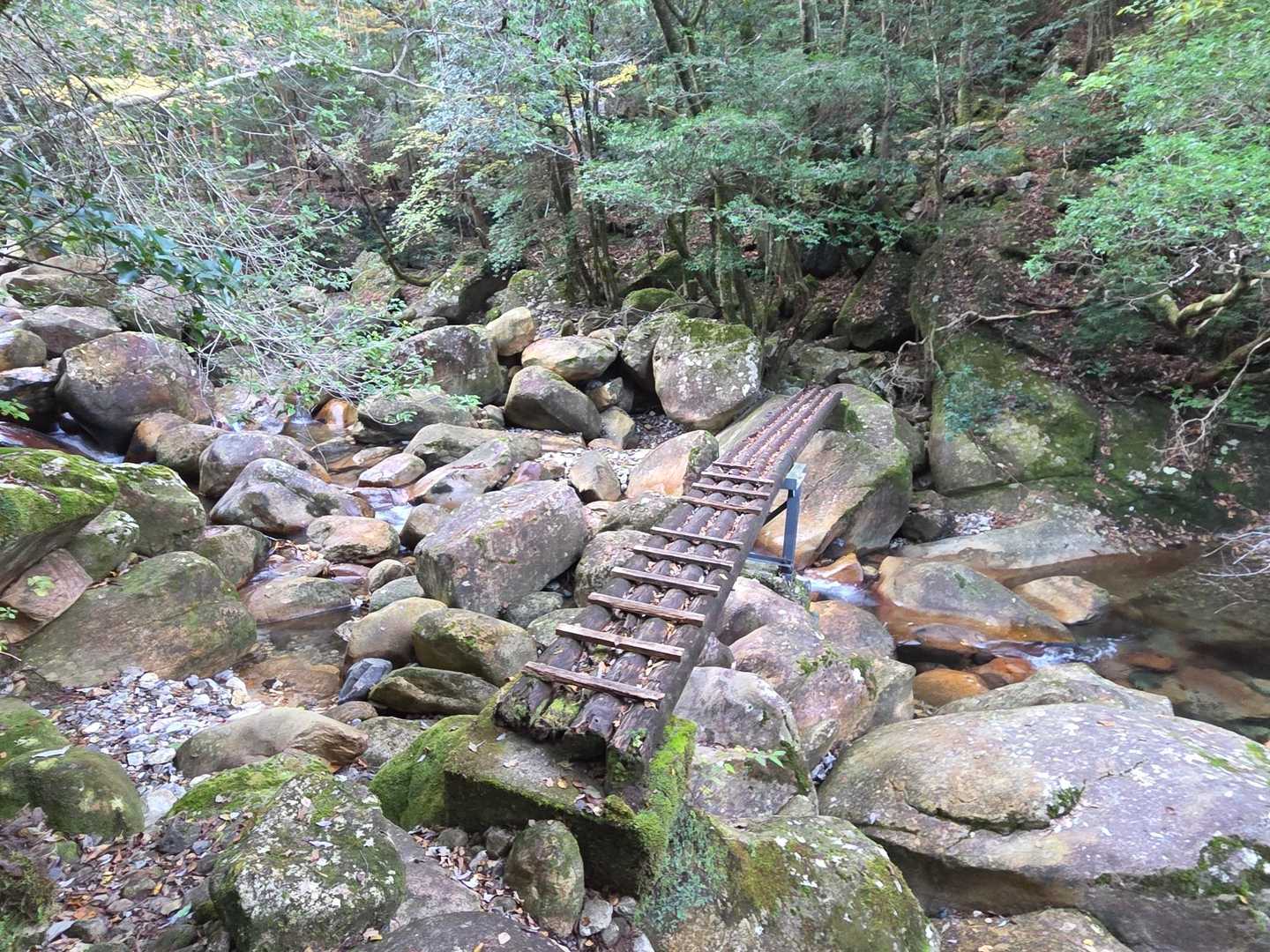 丸太橋の向こう半分は横木が無く今回は湿り気がありツルツル滑る
とても怖かった😱