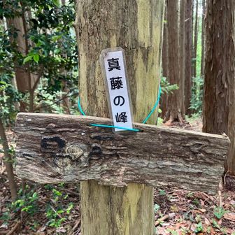 真藤の峰
梵天山の後の鉄塔下を通過した際、林道方面へ進んでしまい戻る💦ミスが続き疲労感が出始める...