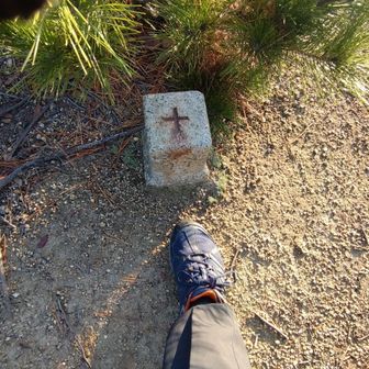 宮田山に登頂 ＼(^o^)／ 三角点です！
皆さんの日記でよく見かけるアングルで撮ってみました (^^)
山頂標識は見当たりませんでした。