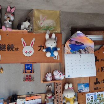 中に入ってみる

ラビットハウスの名前の由来を聞くと

昔 外国人から日本の小さい家はウサギ小屋と言われた

この小屋も小さいからラビットハウスとしたとか🐇
へぇ〜納得👍