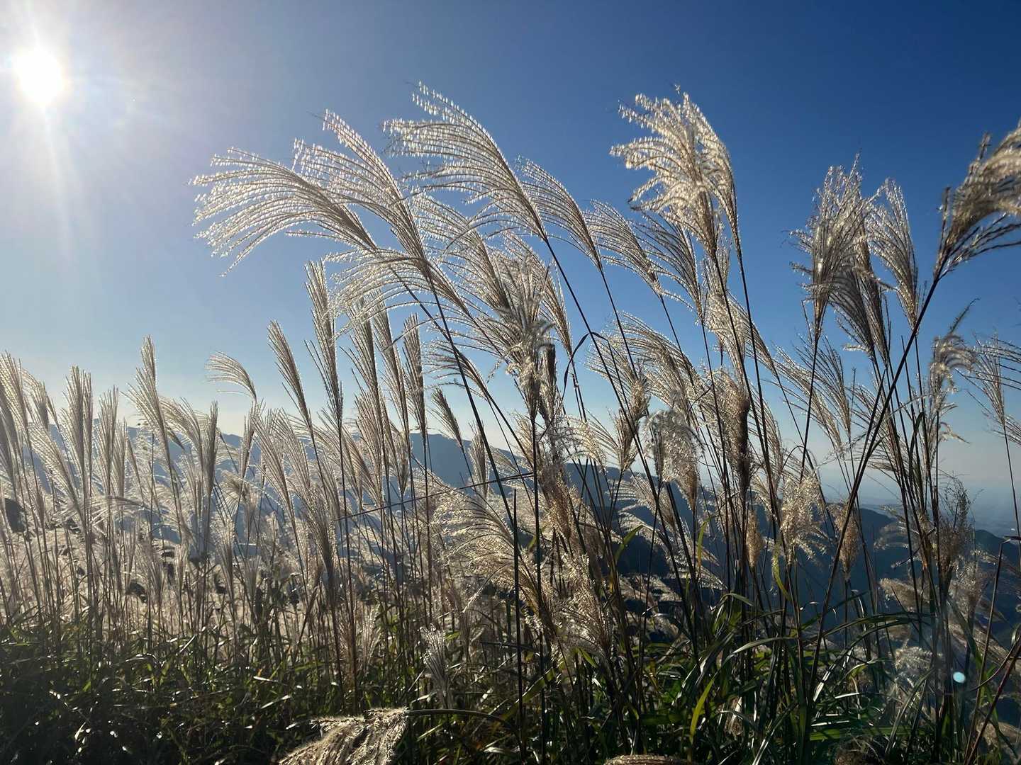 季節の変わり目に、ダイヤモンドトレールで岩湧山への写真
