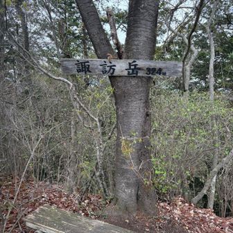 10座目⛰️
82歳のご夫婦と一緒に朝ごはん😋
