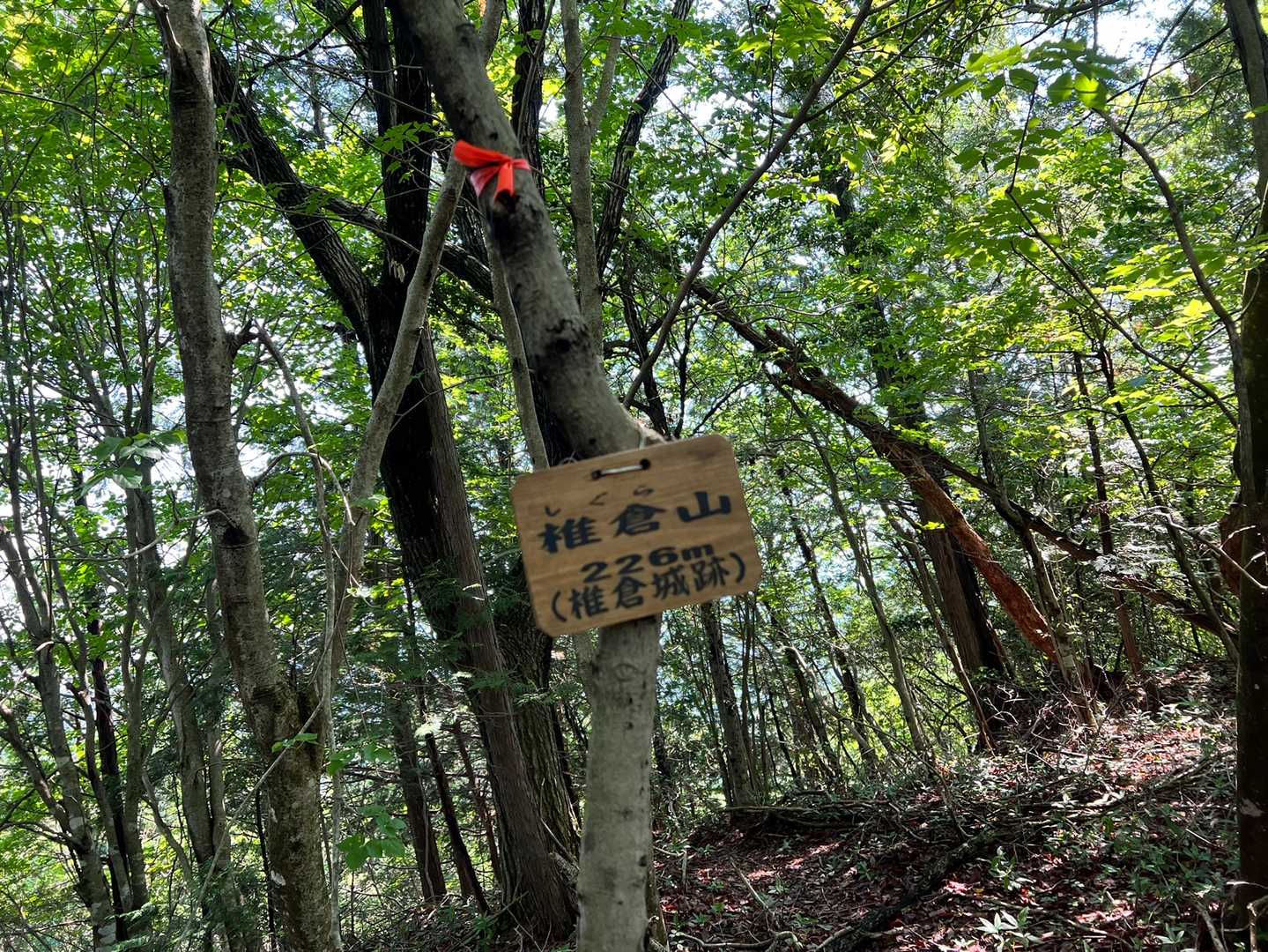 椎倉山⛰🥾