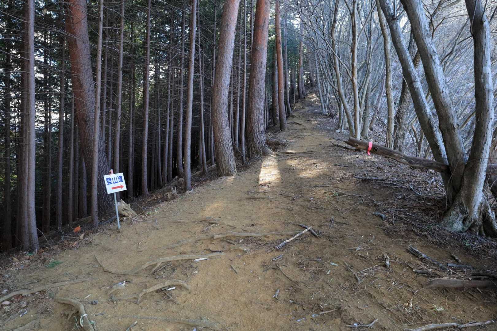 山腹のトラバース道が終わると、山頂への最後の登りへ。
急登の予感！