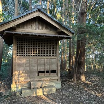 ちゃく💦。。。🪧ぜんぜん、見つからない😭
