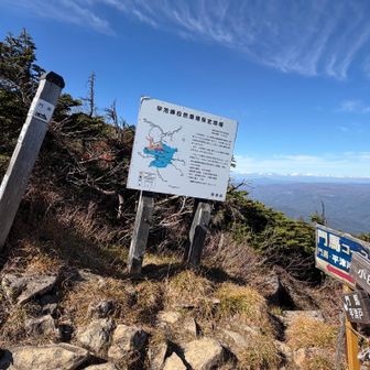 山頂前の分岐点