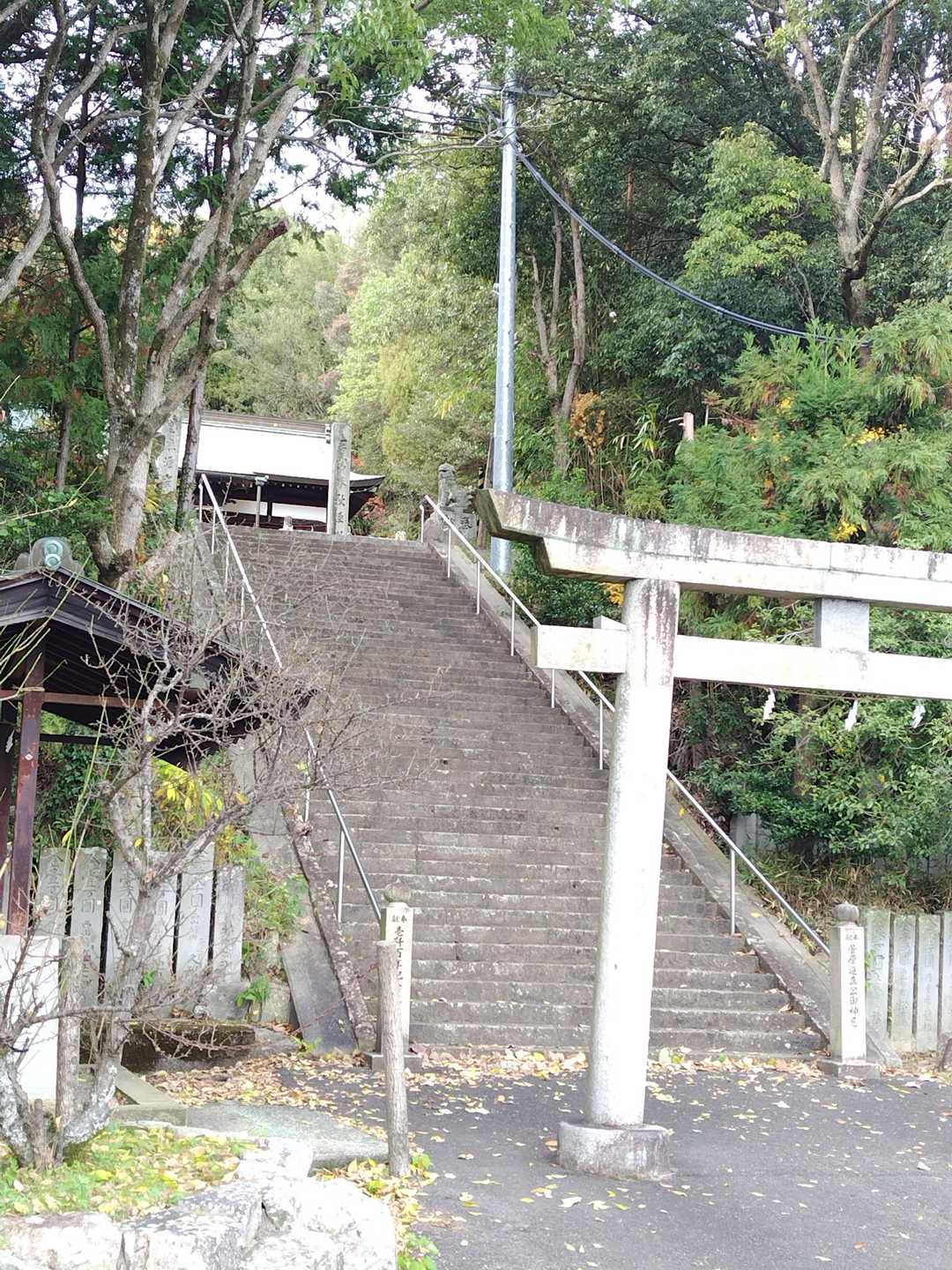 お疲れ山でした～