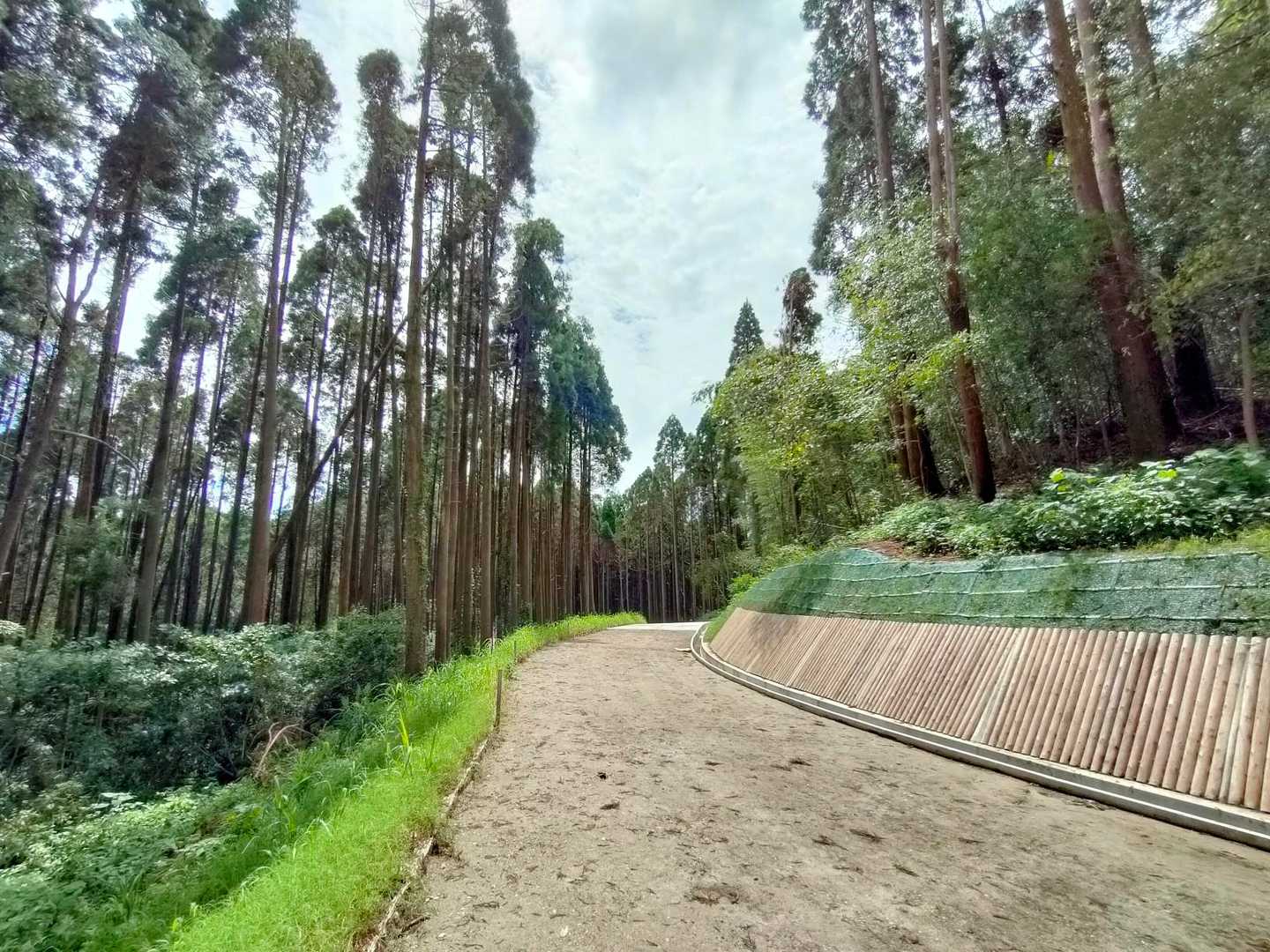矢筈岳　登山口-矢筈岳-諸正岳登山口-諸正岳 周回コースの写真