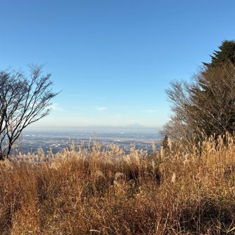 富士山見える？