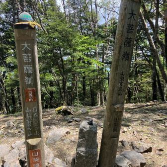 頂上！