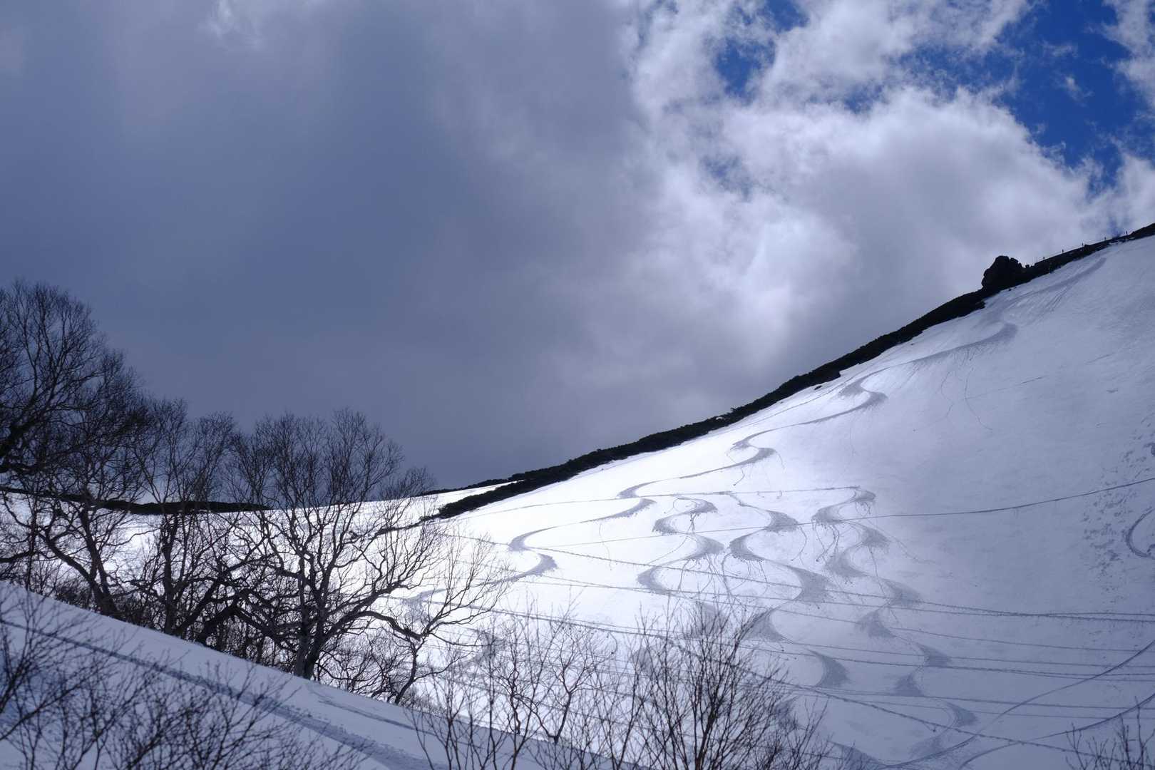 ちょうどタイミング良く太陽が出てシュプールが輝くという最高の贈り物🎁をいただきました🥹