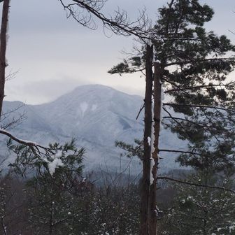 白山もちょっと積もったね