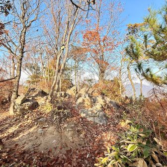 あっという間に箕作山の山頂🙌