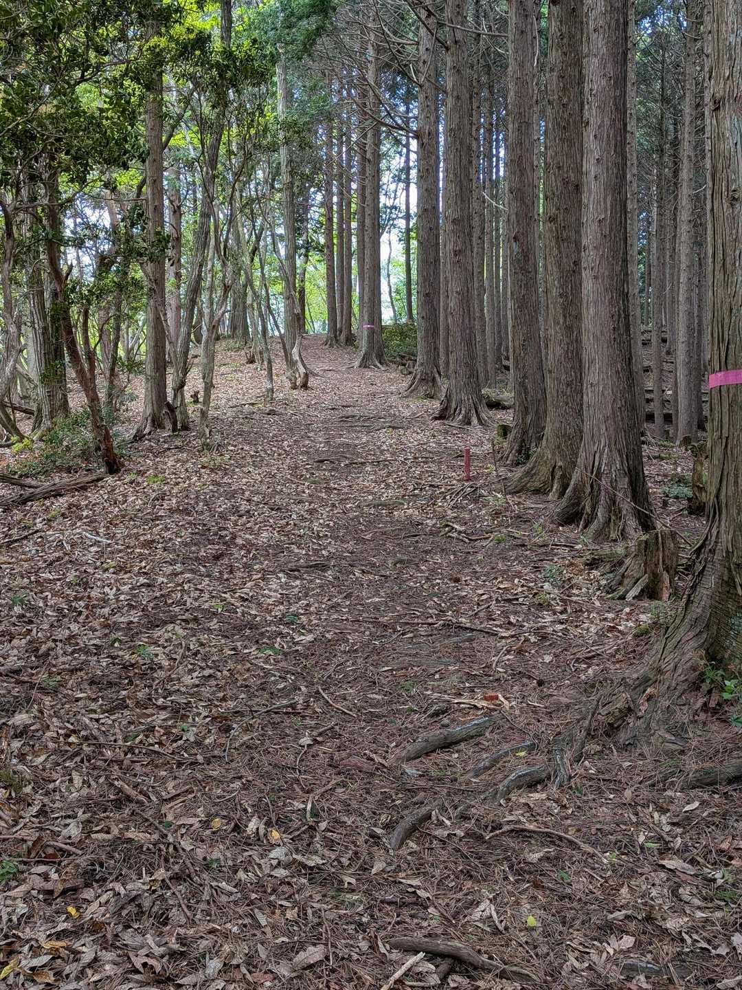 三国峠からは、更に気持ちのいい道続く〜🚶