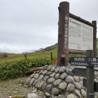 戻って来た